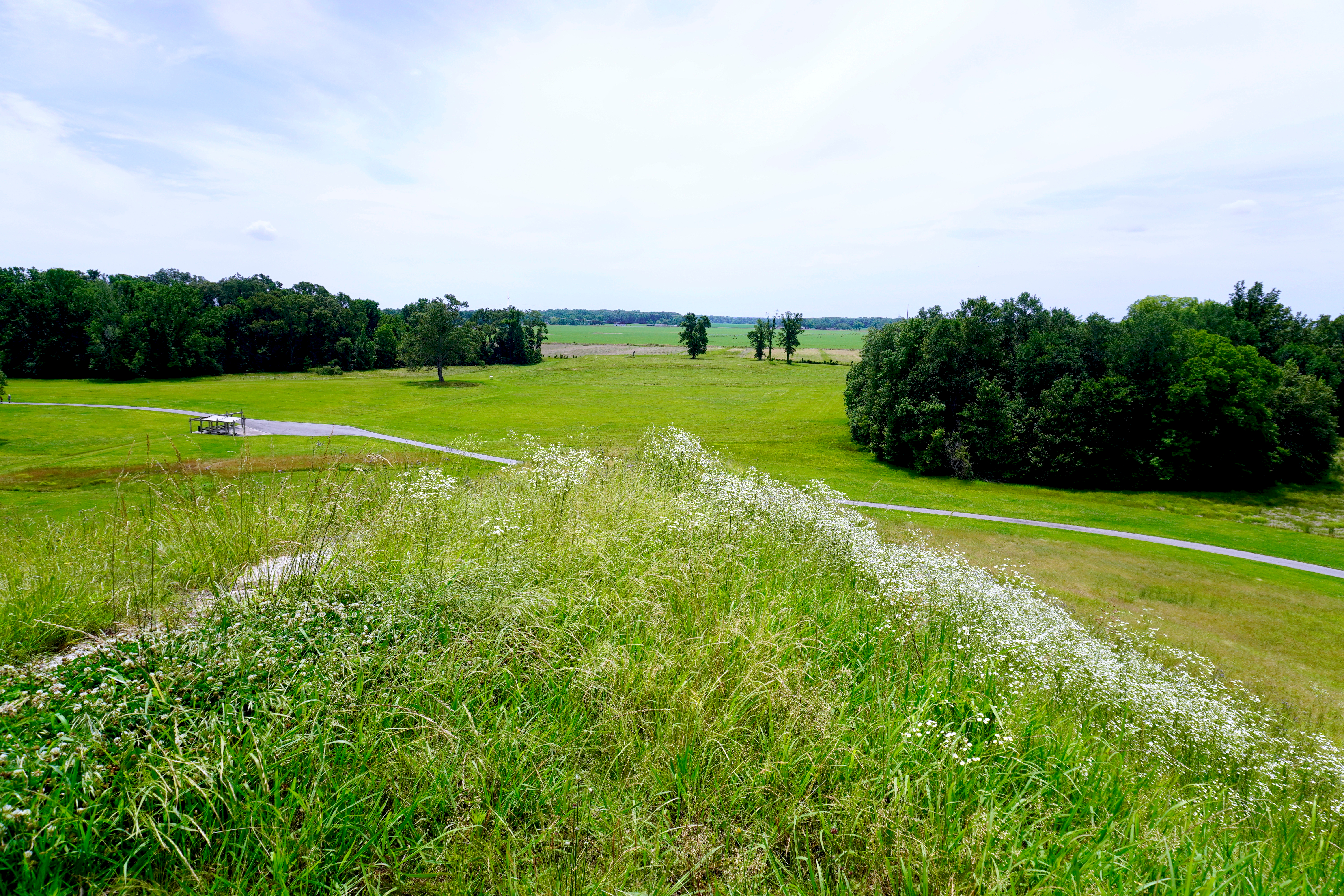 Poverty Point World Heritage Site Photo